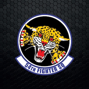 May include: A circular emblem featuring a snarling jaguar with yellow spots, red eyes, and sharp claws. The jaguar is set against a black background within a white and blue border. The text "54th FIGHTER SQ" is displayed below.