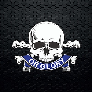 Könnte beinhalten: Ein weißer Totenkopf und gekreuzte Knochen mit einem blauen Banner, auf dem "OR GLORY" steht, auf einem schwarzen Wabenhintergrund.