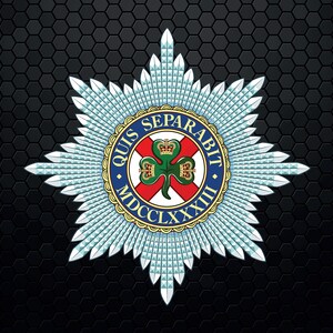 Puede incluir: Un diseño de estrella azul y blanca con un trébol rojo, blanco y verde en el centro. El trébol tiene una corona en la parte superior y el texto "QUIS SEPARABIT MDCCLXXVIII" alrededor.