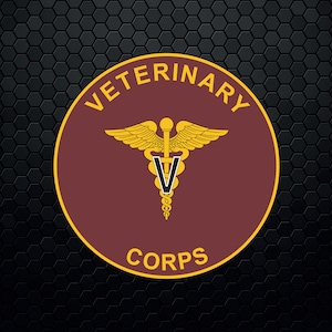 May include: A maroon circle with the words "Veterinary Corps" in yellow lettering around the edge. A gold caduceus symbol with a black "V" is in the center.