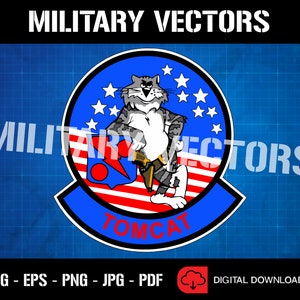 May include: A blue and red military insignia with a cartoon cat holding a gun and the text "TOMCAT".