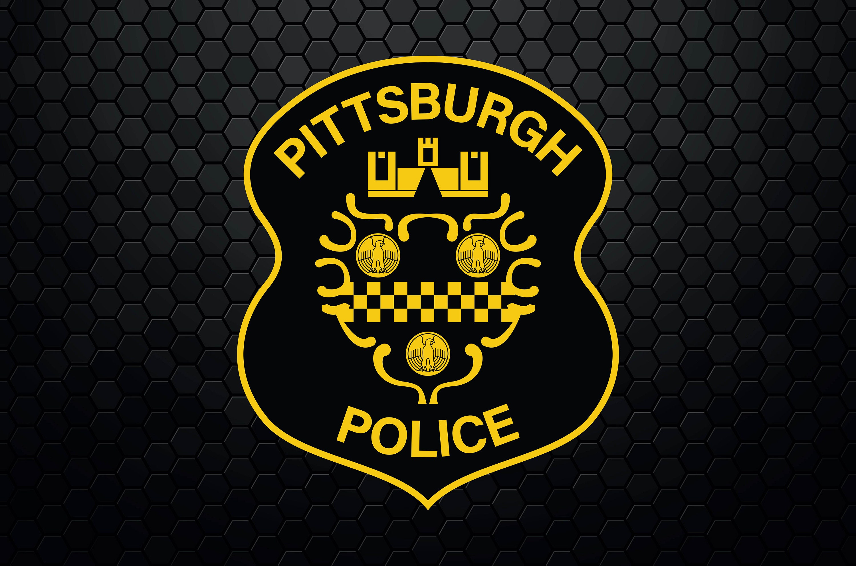 Pittsburgh Police Blotter - 0pzlh9r