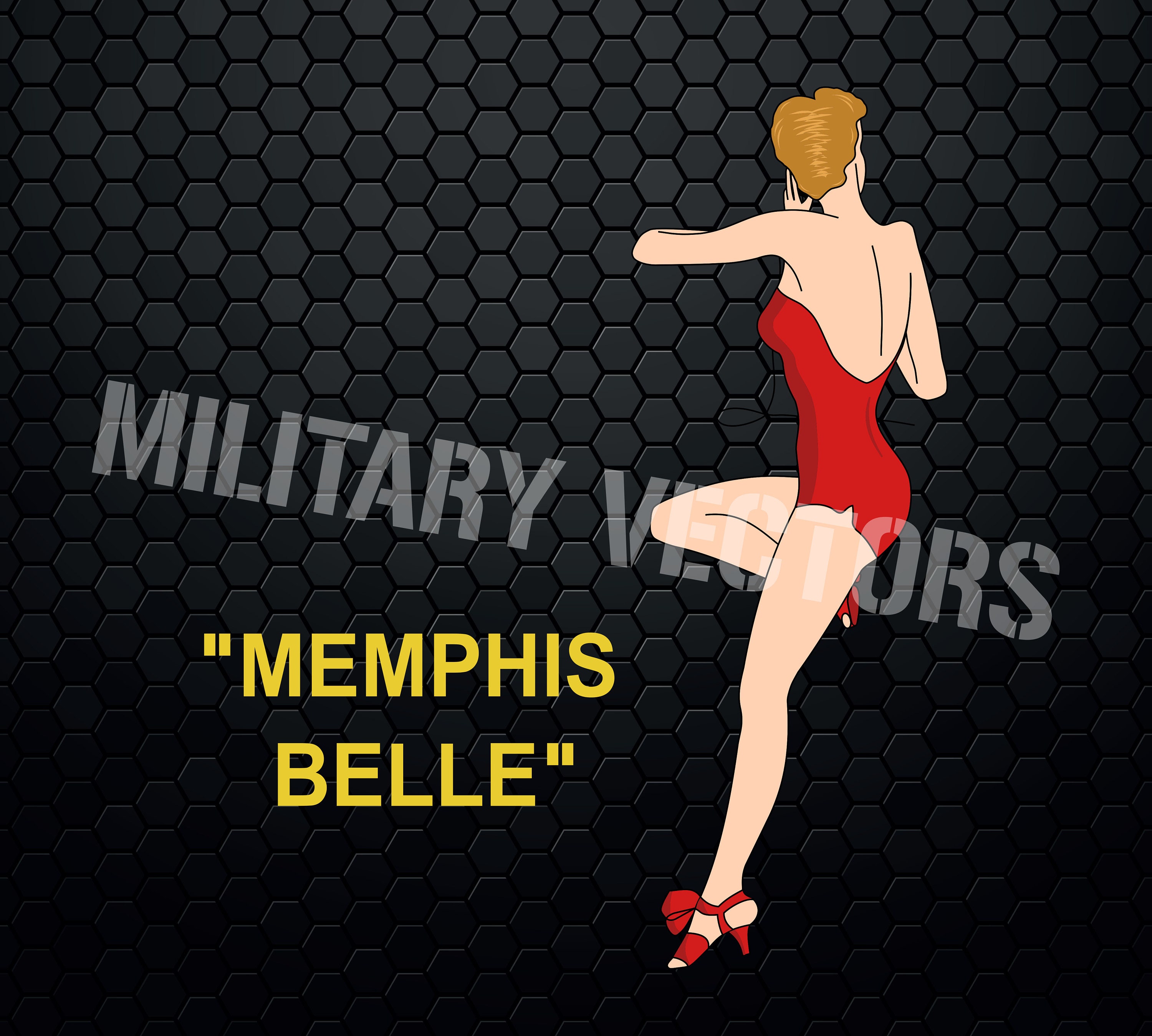 Memphis Belle B-17F Flying Fortress 8th Air Force WW2 Nose