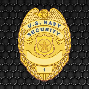 Puede incluir: Una insignia de seguridad de la Marina de los EE. UU. dorada con un águila, una estrella y el número 1.