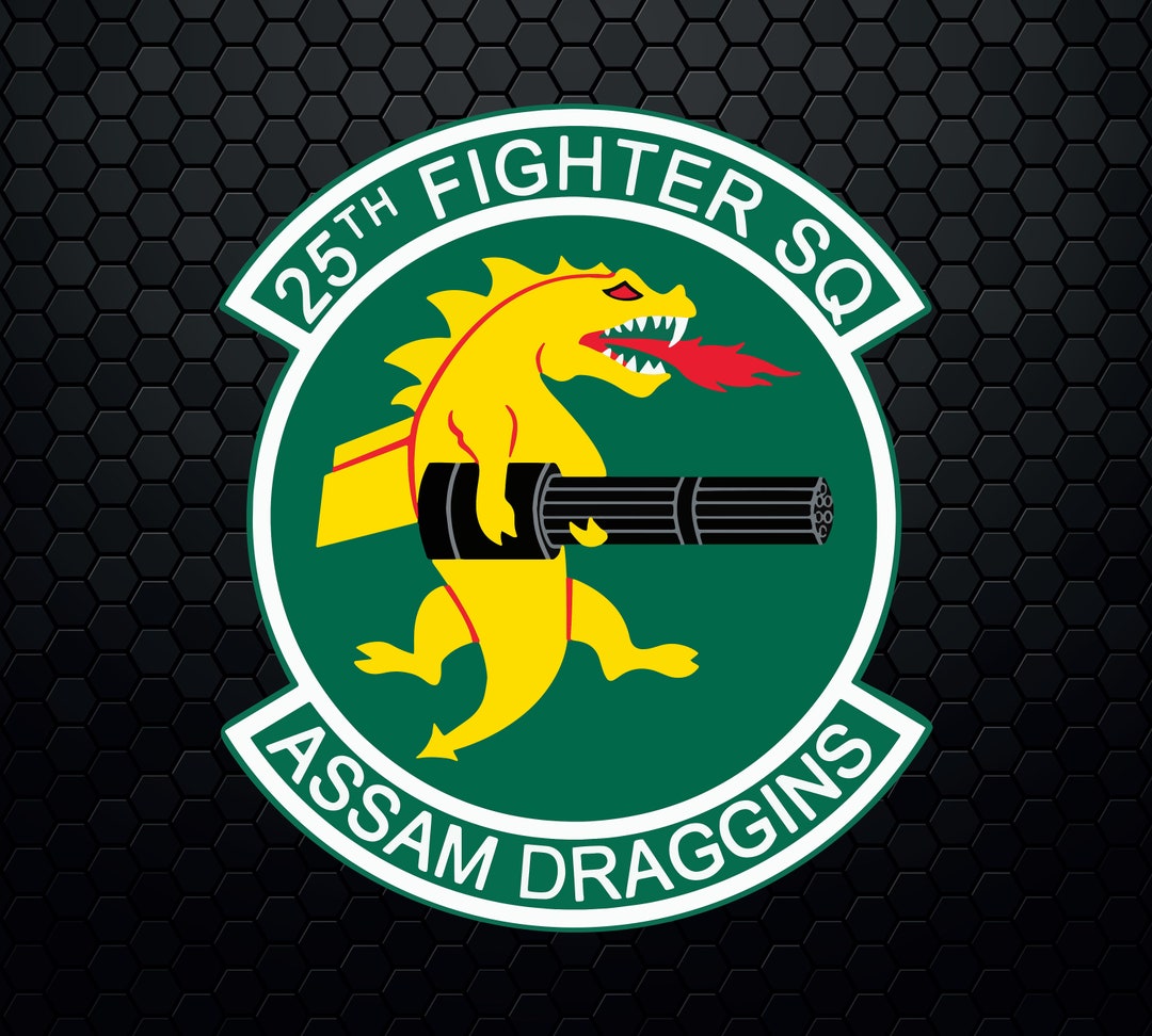 USAF 25FS LAST ASSAM パッチ 25th Fighter Gen Squadron Assam Dragons US Air Force jacket