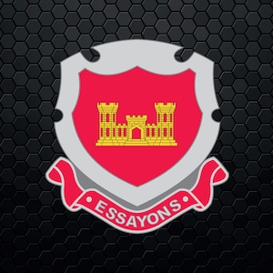 May include: A red shield with a silver border and a gold castle in the center. The shield is surrounded by a red ribbon with the text "ESSAYONS" in white.