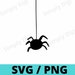Hanging Spider SVG PNG Insect Insects Spooky Spiders Legs Cut File
