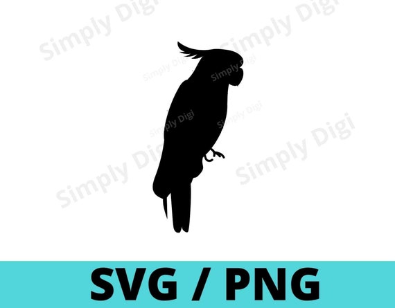 Birds Bird Sitting Parrot Parrots Fly Flying Wings Pet Animal - Etsy
