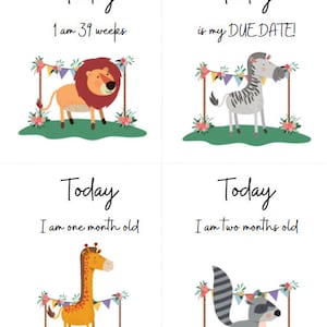 NICU Milestone Cards *printable* - Etsy