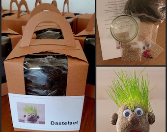 Craft box “Grass Head”