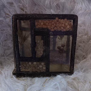Vintage Seeds, Herbs, & Grains In Acrylic Resin Lucite Napkin Holder - Unmarked Hobbyist Piece - Gently Previously Loved - FREE Shipping