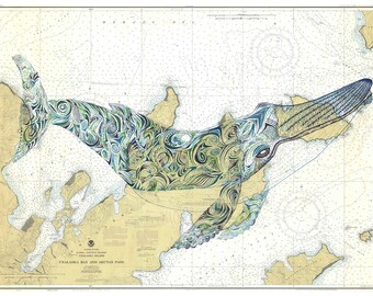 Humpback Whale Nautical Chart Art