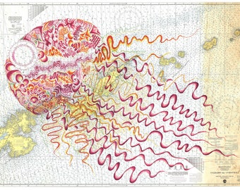 Jellyfish Nautical Chart Art