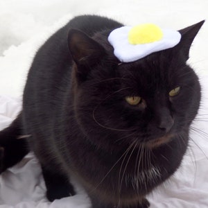 Among Us Cat Hat Dog hat Pet gift Cat lover gift Cat | Etsy