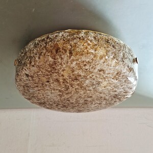May include: An oval-shaped ceiling light fitting with a textured surface. The light has a mottled amber and white appearance. It is mounted flush against a light blue ceiling. The edges are trimmed with gold-coloured metal.