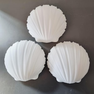 May include: Three white scallop shell decorations on a grey surface. Each shell has a detailed, ridged texture and a rounded shape. The shells are evenly spaced, creating a balanced composition. The shells are a bright white colour.