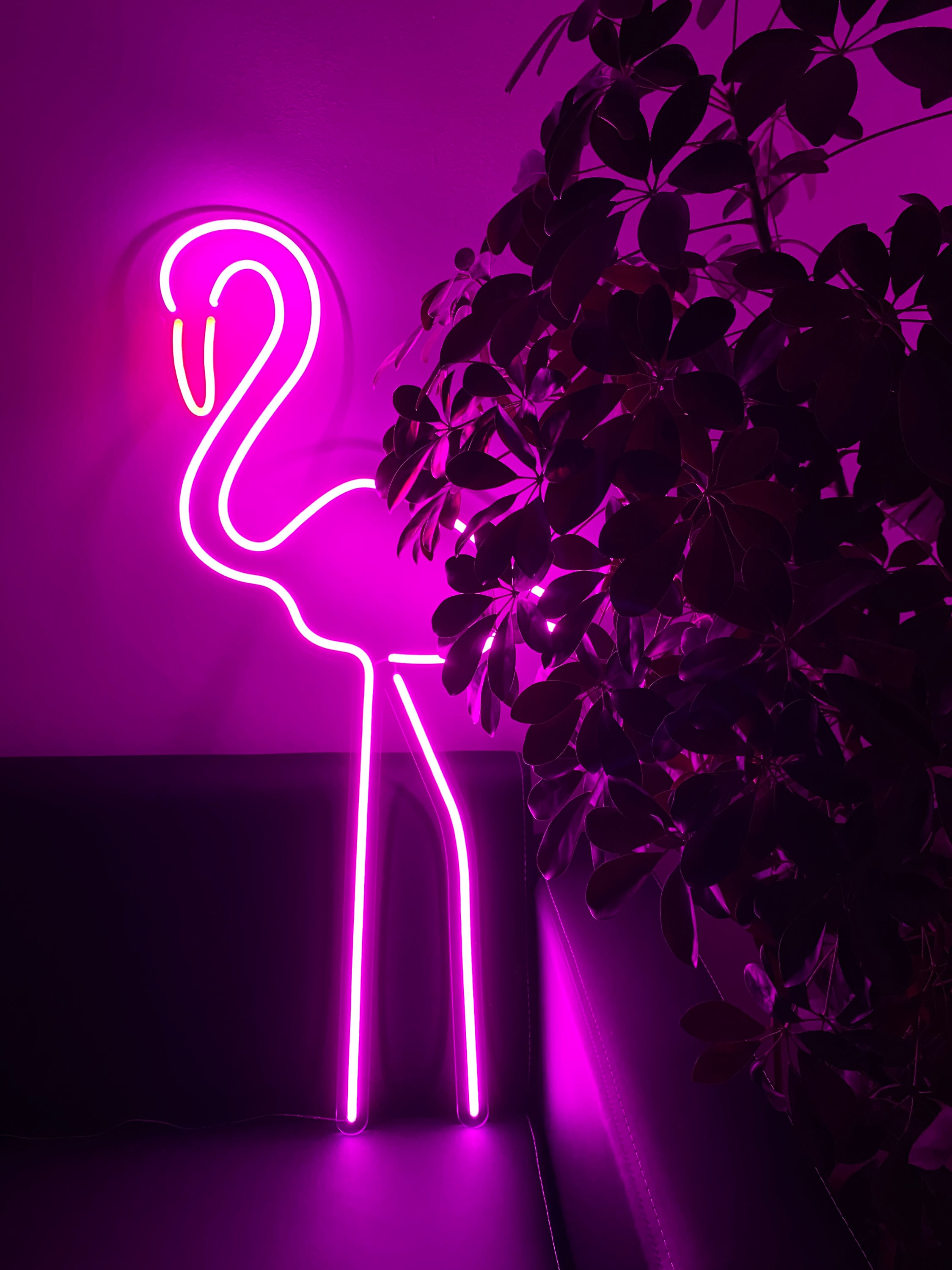 Neon signs for home Flamingo neon sign pink flamingo led Etsy