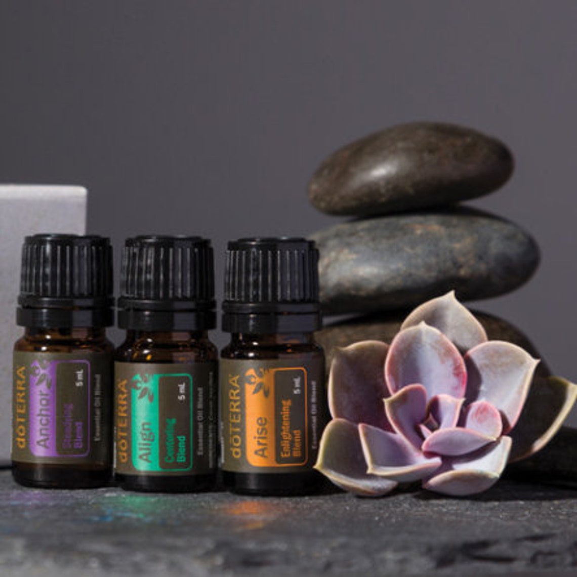 DoTERRA Yoga Collection to Steady Center and Enlighten your Etsy