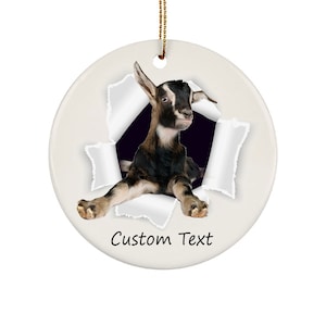 Personalized Name Goat Ornaments For Christmas Tree - Cute Goat gifts - Star Ornaments - Heart Ornaments - Oval Ornaments