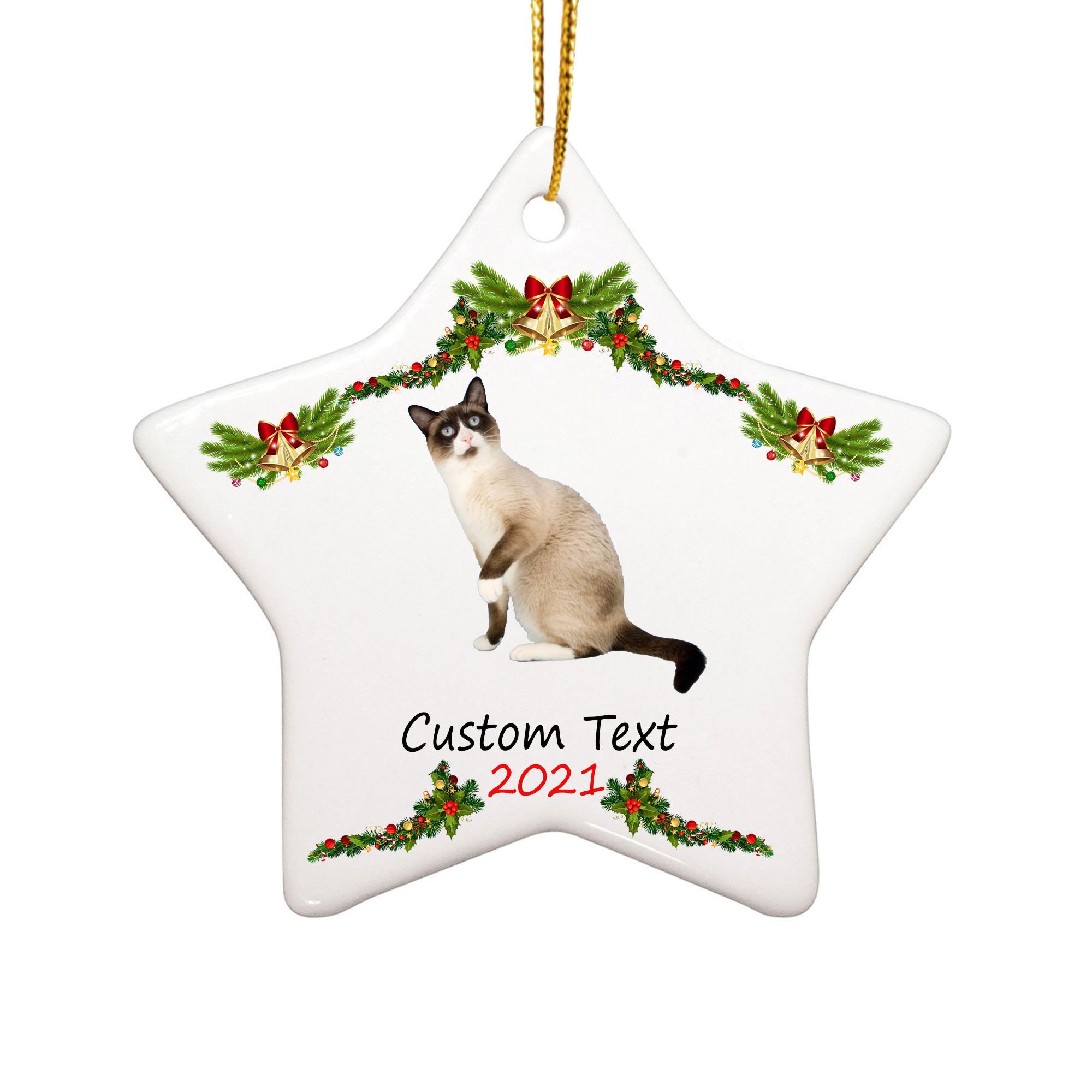 Personalized Name Snowshoe Cat Ornaments for Christmas Tree 2021 Hanging Ornaments Star Ornament