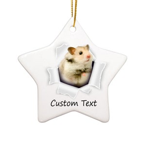 Personalized Name Hamster Ornaments For Christmas Tree - Hamster gifts - Star Ornaments - Heart Ornaments - Oval Ornaments