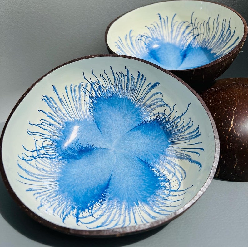 Natural Blue flower coconut shell bowls Eco Friend Wedding Engagement Birthday Gift image 6