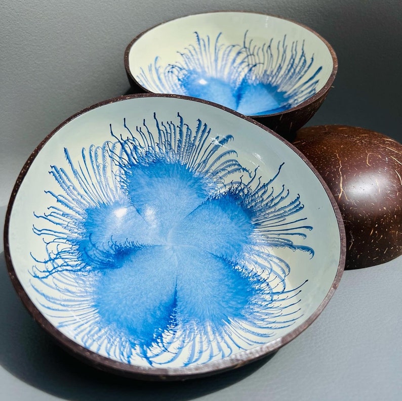 Natural Blue flower coconut shell bowls Eco Friend Wedding Engagement Birthday Gift image 1