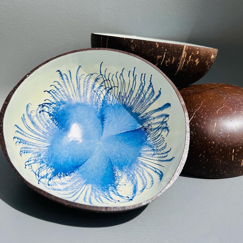 Natural Blue flower coconut shell bowls Eco Friend Wedding Engagement Birthday Gift image 3