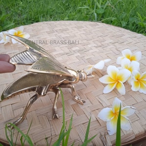 May include: A gold metal insect sculpture with wings outstretched. The insect is on a woven surface with white flowers.
Rustic brass shelf decor
Brass bee centerpiece

Decorative animal figurines

Artisanal brass home decor

Handmade brass shelf accent

Tiny brass home styling piece

Classic brass figurine decor

Vintage brass ornament for home
Coffee table brass decor

Brass decor for entryway

Bee motif decorative object

Cute bee figurine for decor

Eco chic home decor bee