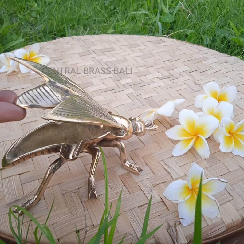 May include: A gold metal insect sculpture with wings outstretched. The insect is on a woven surface with white flowers.
Rustic brass shelf decor
Brass bee centerpiece

Decorative animal figurines

Artisanal brass home decor

Handmade brass shelf accent

Tiny brass home styling piece

Classic brass figurine decor

Vintage brass ornament for home
Coffee table brass decor

Brass decor for entryway

Bee motif decorative object

Cute bee figurine for decor

Eco chic home decor bee