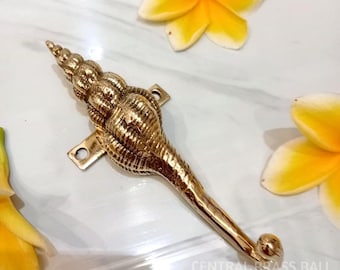 Set di 4 ganci appendiabiti a forma di conchiglia in ottone dorato, ganci da parete, decorazioni costiere da spiaggia, accessori nautici per l'ingresso.