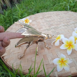A gold metal insect figurine with wings and six legs. The figurine is sitting on a woven surface.



Brass clip for table decor

Vintage brass clip figurine

Fly shape napkin clip

Brass utensil holder clip

Bug-themed brass kitchen clip

Brass insect figurine decor

Bug shaped home accessory

Brass bug table decoration

Fly sculpture for decor

Insect home styling item

Vintage bug-shaped ashtray

Brass fly ornament for shelf

Brass fly collectible sculpture