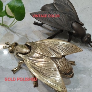 May include: Two brass fly sculptures, one with a vintage color finish and the other with a gold polished finish. The sculptures are detailed with intricate patterns and textures. The text 'Vintage Color' is displayed above the darker sculpture and the text 'Gold Polished' is displayed below the brighter sculpture. The text 'CENTRAL BRASS BALI' is displayed below the brighter sculpture.
Brass table decor clip
Golden bug napkin holder
Unique bug home accent

Antique insect brass decor