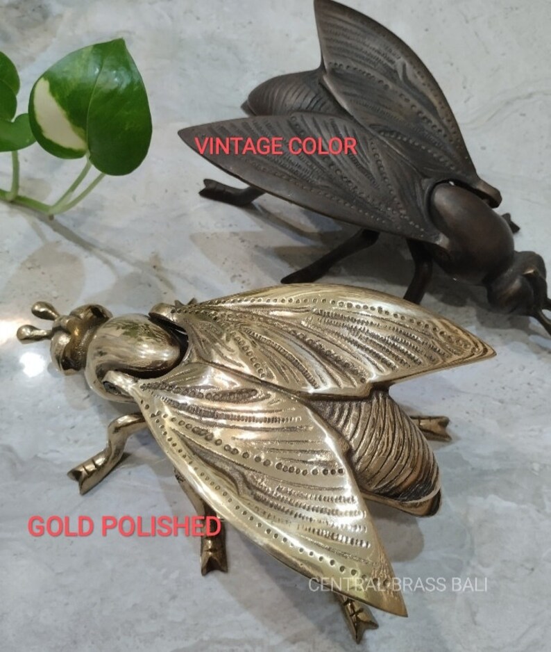 May include: Two brass fly sculptures, one with a vintage color finish and the other with a gold polished finish. The sculptures are detailed with intricate patterns and textures. The text 'Vintage Color' is displayed above the darker sculpture and the text 'Gold Polished' is displayed below the brighter sculpture. The text 'CENTRAL BRASS BALI' is displayed below the brighter sculpture.
Brass table decor clip
Golden bug napkin holder
Unique bug home accent

Antique insect brass decor