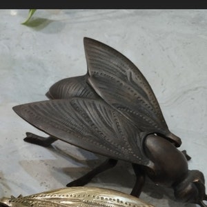 A detailed, bronze, fly sculpture with intricate wing designs. The fly is posed with its wings spread and its legs outstretched.
Brass napkin holder decor

Fly shaped brass tableware

Decorative brass napkin ring

Bug clip table decoration

Fly clip for kitchen use

Brass decor with function

Multipurpose brass figurine
Brass figurine with utility

Decorative tabletop brass item

Elegant bug shaped clip
Nature inspired brass decor

Botanical and bug decor

Natural world figurine brass