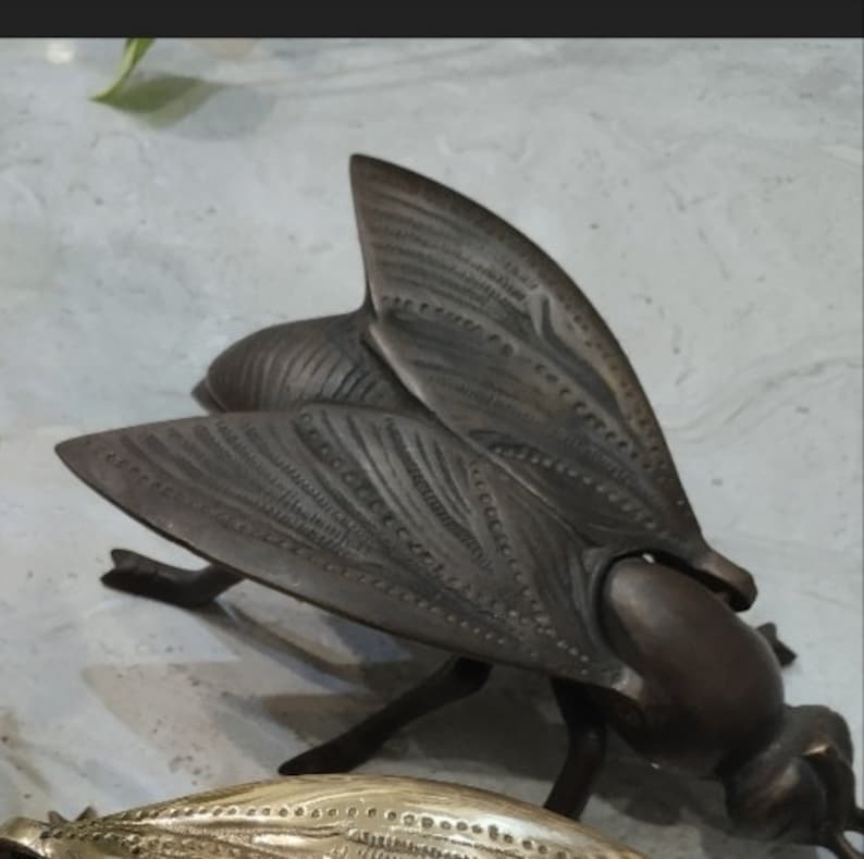 A detailed, bronze, fly sculpture with intricate wing designs. The fly is posed with its wings spread and its legs outstretched.
Brass napkin holder decor

Fly shaped brass tableware

Decorative brass napkin ring

Bug clip table decoration

Fly clip for kitchen use

Brass decor with function

Multipurpose brass figurine
Brass figurine with utility

Decorative tabletop brass item

Elegant bug shaped clip
Nature inspired brass decor

Botanical and bug decor

Natural world figurine brass