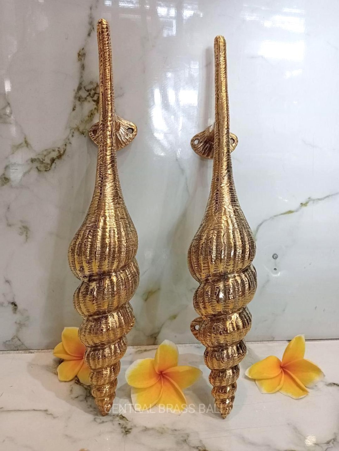 Buy Brass Shell Door Handle Pair, Coastal Door Pulls, Nautical