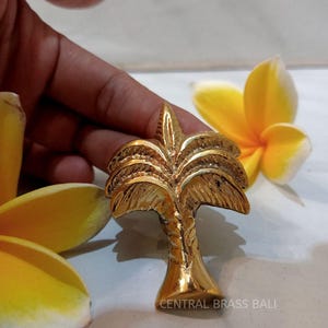 Set of 10 Palm Brass Knobs | Tropical Decor, Solid Brass(TARRIF PAID)