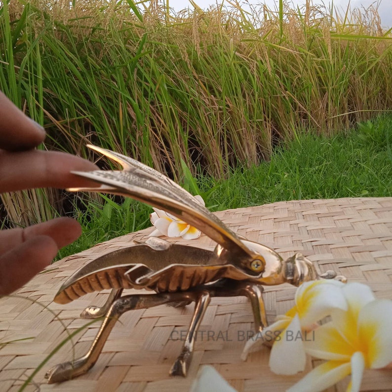 May include: A gold metal insect sculpture with a detailed design. The sculpture is posed as if it is perched on a woven mat. The sculpture is holding a white flower in its mouth. The text 'CENTRAL BRASS BALI' is visible on the Fly figurine ashtray decor

Golden bee art object

Brass bug ashtray collectible

Realistic fly ashtray brass

Brass ashtray fly shaped

Quirky insect ashtray mat.
Mini brass ashtray decor

Retro brass table ashtray

Ashtray for shelf styling
