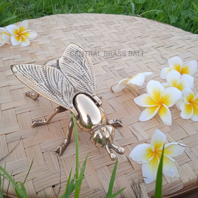 May include: A gold brass fly sculpture with detailed wings. The fly is sitting on a woven straw mat with white flowers.

Unique brass home trinket
Bee home decor accessory

Vintage bee shelf ornament

Brass decor for living room

Decorative bee tabletop piece

Brass insect home accent

Small shelf decor brass

Antique-style bee decor

Golden bee decorative figurine
Nature-inspired home decor

Elegant brass decor piece
Insect theme room decor

Unique home decoration brass