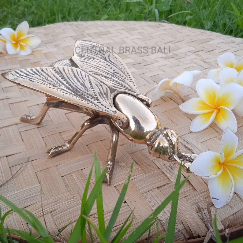 May include: A gold metal fly sculpture with intricate details on the wings. The fly is posed with its head down as if it is landing on a flower. The sculpture is on a woven mat with green grass in the background.
Brass trinket holder fly shape

Brass catchall insect design
Antique brass ashtray sculpture

Funky home decor ashtray

Animal-shaped brass tray

Functional brass figurine

Fly decor ashtray vintage
Brass napkin clip vintage

Insect napkin clip brass

Bee napkin holder clip