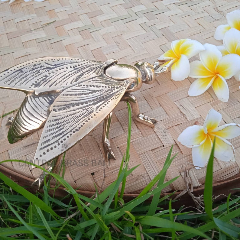 May include: A gold metal insect figurine with detailed wings and legs. The insect is posed on a woven straw surface with white flowers.
Housewarming gift bee

Cute ashtray for gift

Brass novelty gift

Nature inspired gift
Bee shelf accent

Vintage brass shelf decor

Brass bee shelf piece

Ashtray as home decor

Decorative brass ashtray

Bee figurine for mantel

Brass decor for table
Bee souvenir Indonesia

Mini brass sculpture

Insect figurine collectible

Small vintage brass bee
