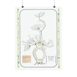 Our Family Tree Biblical Art POSTER Adam to Abraham Biblical Wall Art Noah genealogy detailed logical display English Hebrew Judaica gift
