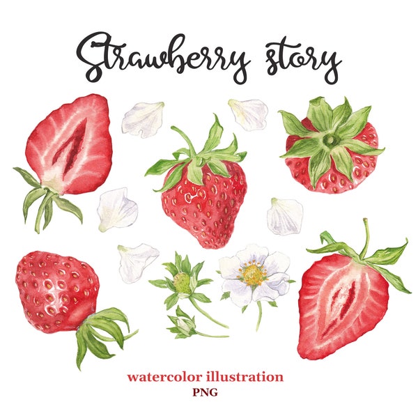 Watercolor strawberry in PNG. Food illustration.