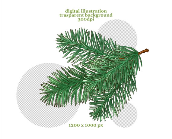 Christmas Tree Branches PNG 