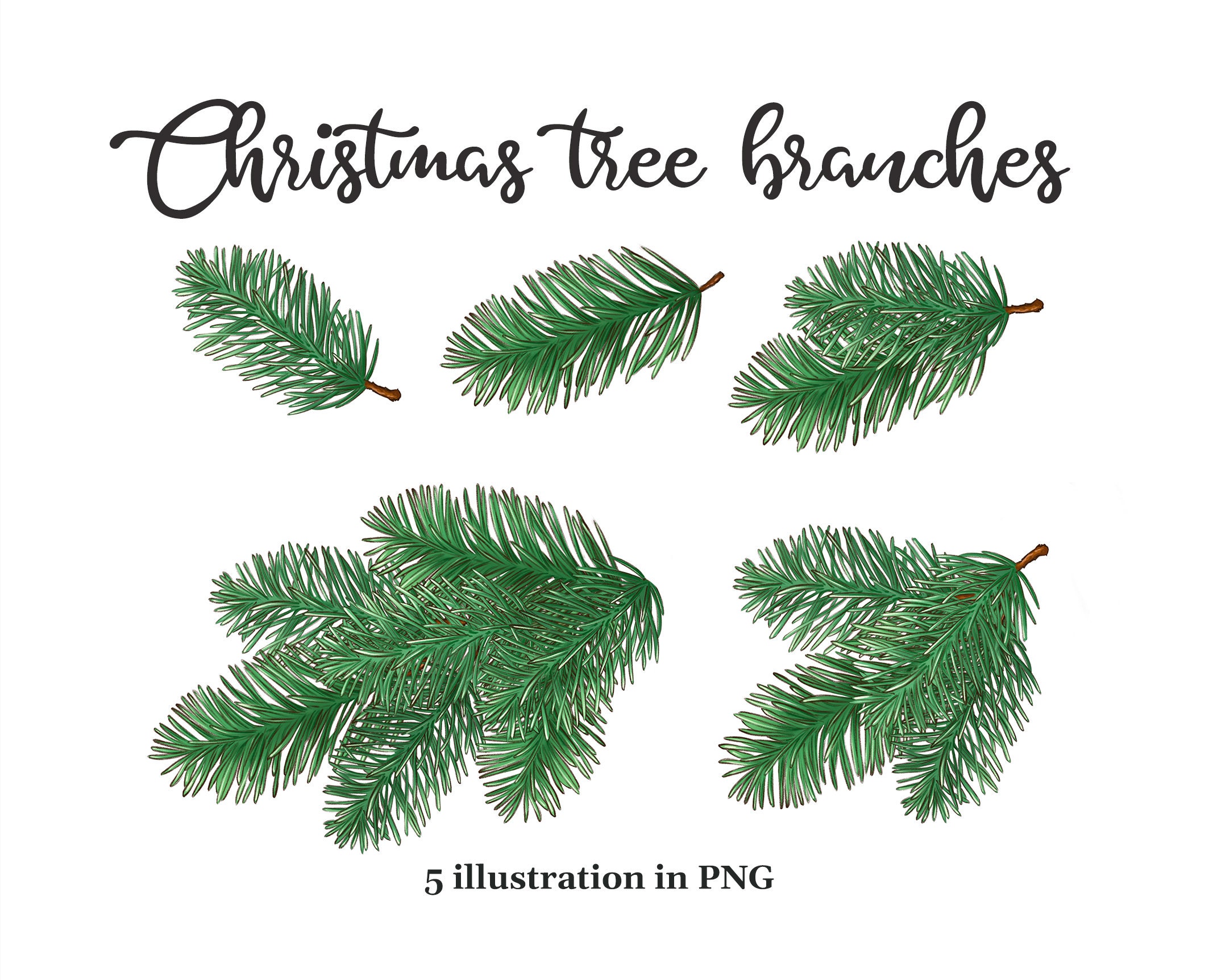 Christmas tree branches PNG