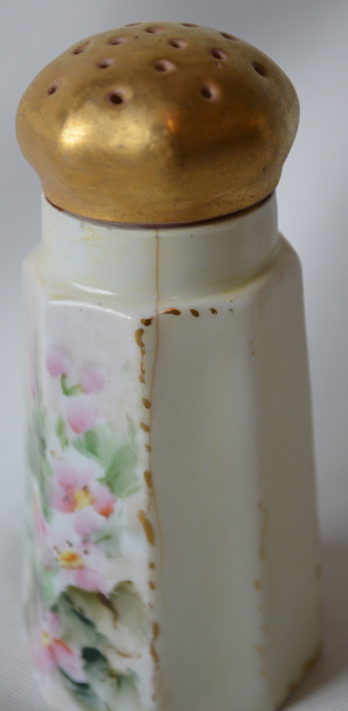 Limoges Hand Painted Salt and Pepper Shakers Etsy UK