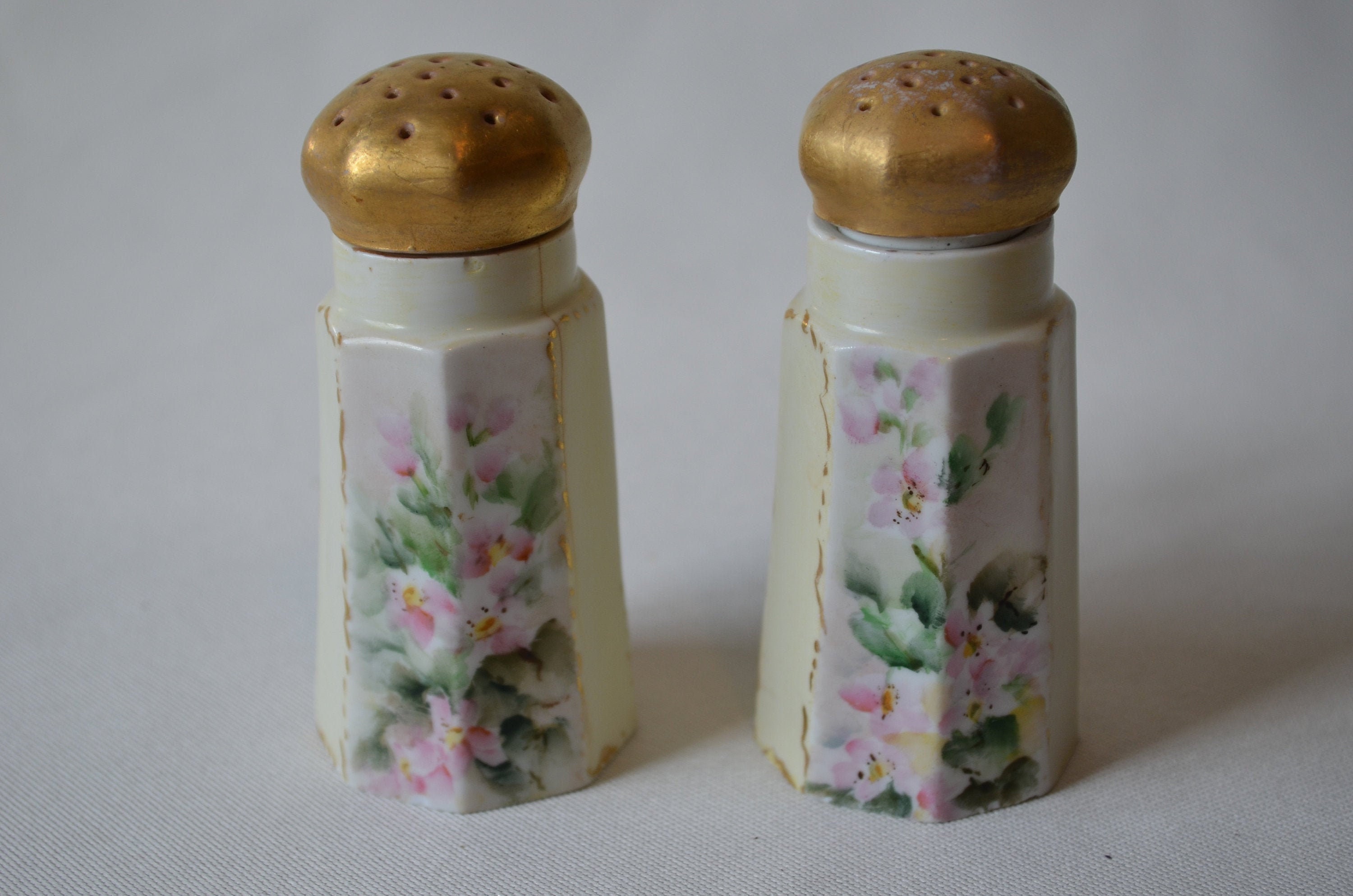Limoges Hand Painted Salt and Pepper Shakers Etsy UK