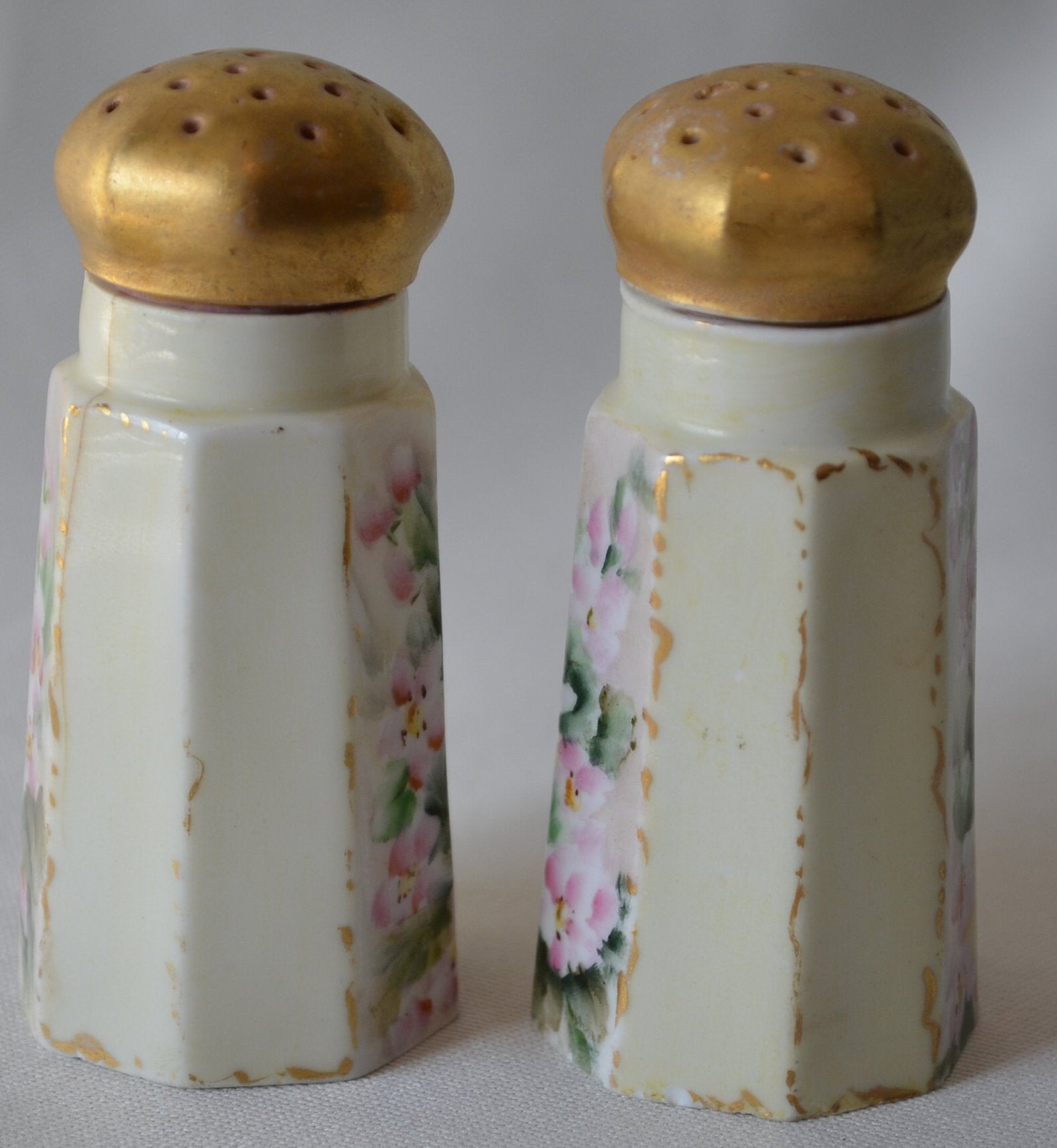 Limoges Hand Painted Salt and Pepper Shakers Etsy UK