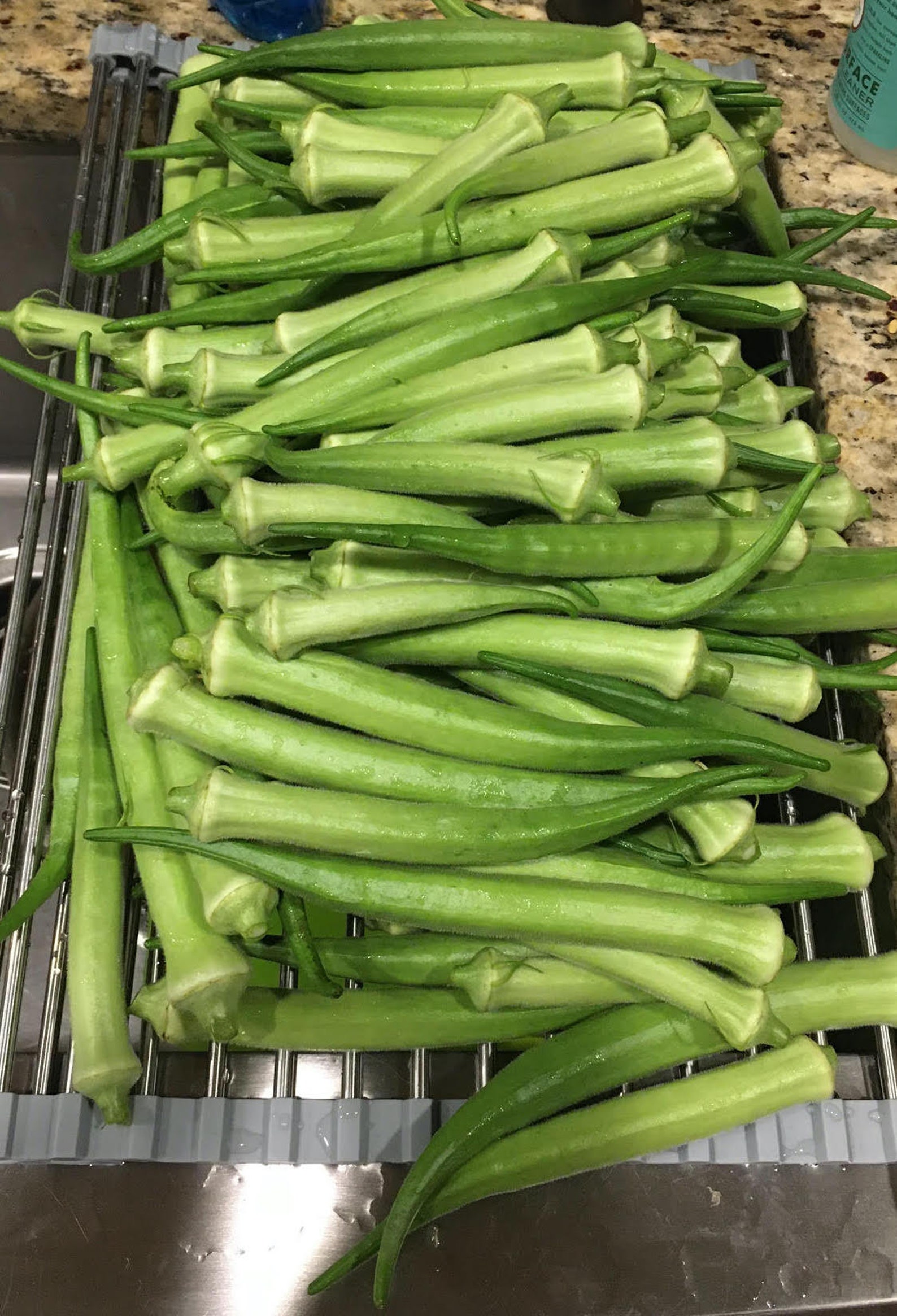 Louisiana Green Velvet Okra Seeds 100 count NonGMO Etsy